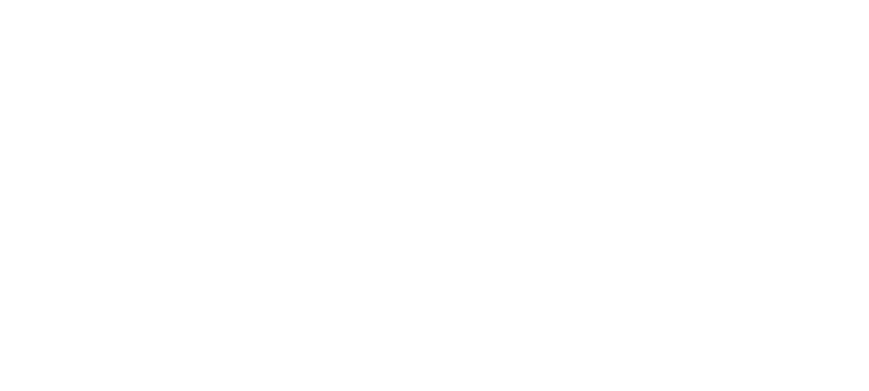 Blaze Training